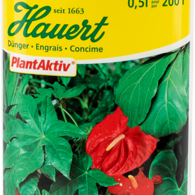 Engrais liquide pour plantes d'appartement