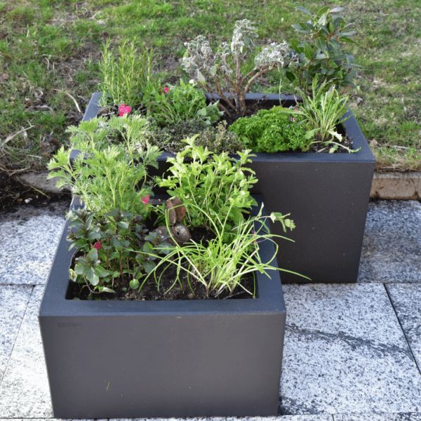 Pot Modulo double paroi 80 – Image 3