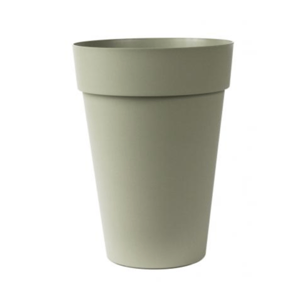 Pot Liken - Romarin