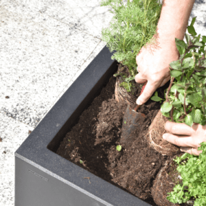 Forfait pour plantation de bacs
