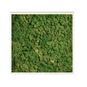 Panneau de mousse naturelle vert foncé et son cadre de montage