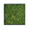 Panneau de mousse naturelle vert foncé et son cadre de montage – Image 3