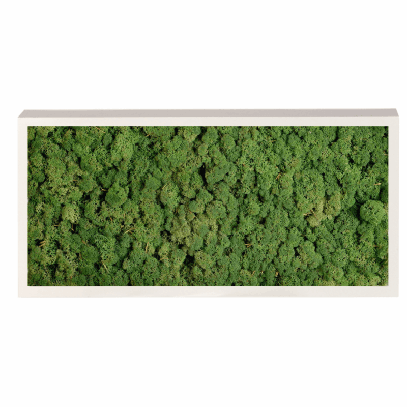 Panneau de mousse naturelle vert foncé et son cadre de montage