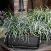 Caissette à fleurs et soucoupe Inis - Anthracite – Image 3