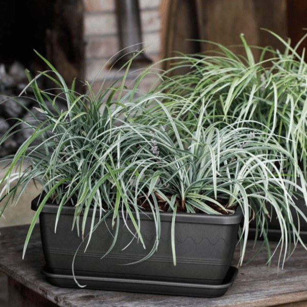 Caissette à fleurs et soucoupe Inis - Anthracite – Image 3