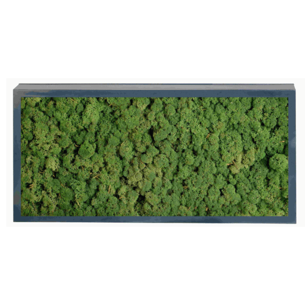 Panneau de mousse naturelle vert foncé et son cadre de montage – Image 3