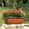 Caissette à fleurs et soucoupe Inis - Terra – Image 3