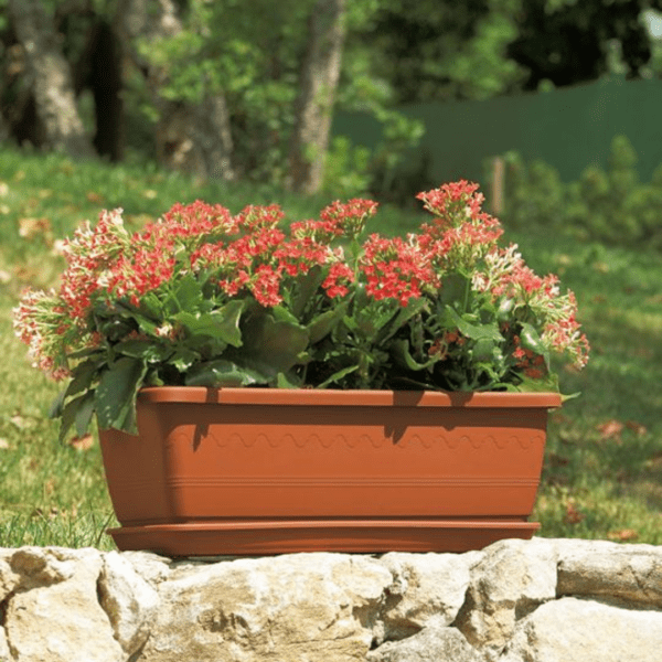 Caissette à fleurs et soucoupe Inis - Terra – Image 3