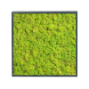 Panneau de mousse naturelle vert lime et son cadre de montage – Image 4