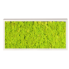 Panneau de mousse naturelle vert lime et son cadre de montage
