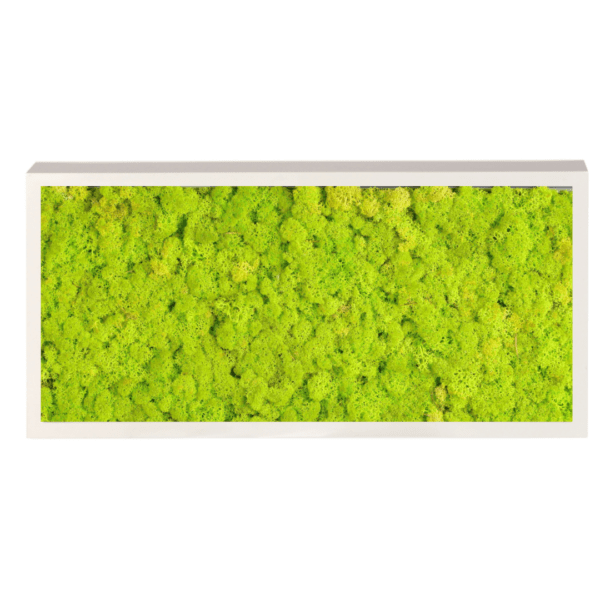 Panneau de mousse naturelle vert lime et son cadre de montage
