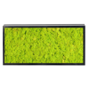 Panneau de mousse naturelle vert lime et son cadre de montage – Image 2
