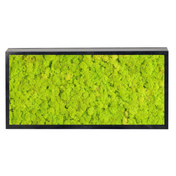 Panneau de mousse naturelle vert lime et son cadre de montage – Image 2
