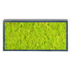 Panneau de mousse naturelle vert lime et son cadre de montage – Image 3