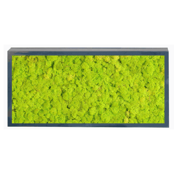 Panneau de mousse naturelle vert lime et son cadre de montage – Image 3