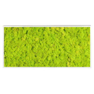 Panneau de mousse naturelle vert lime et son cadre de montage