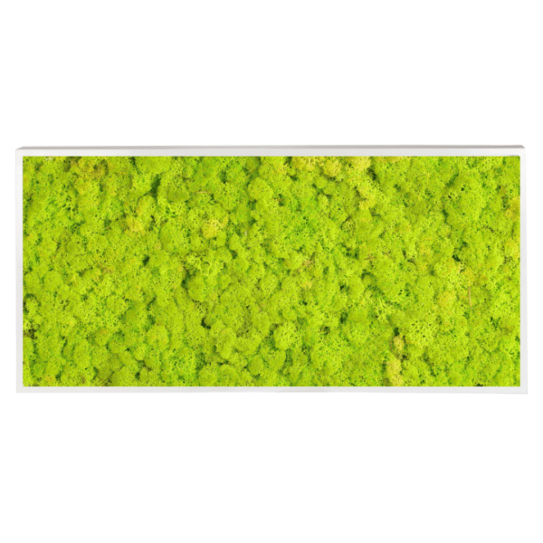 Panneau de mousse naturelle vert lime et son cadre de montage