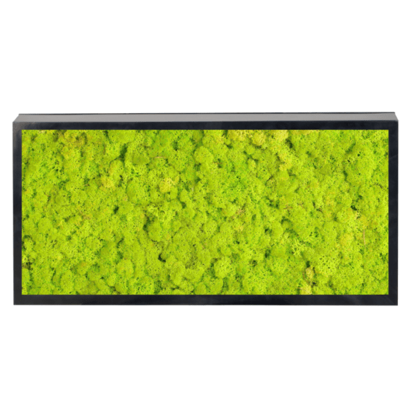 Panneau de mousse naturelle vert lime et son cadre de montage – Image 2