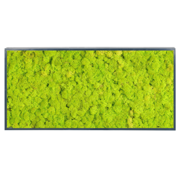 Panneau de mousse naturelle vert lime et son cadre de montage – Image 3