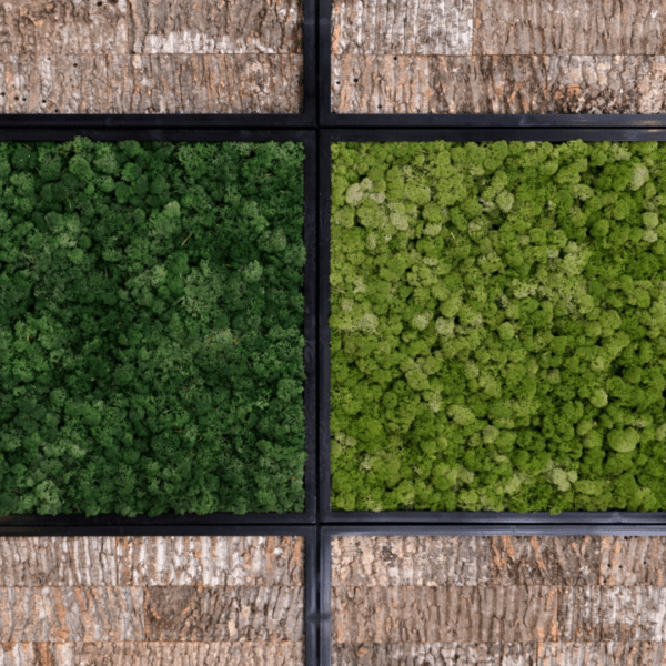 Panneau de mousse naturelle vert moyen et son cadre de montage – Image 5