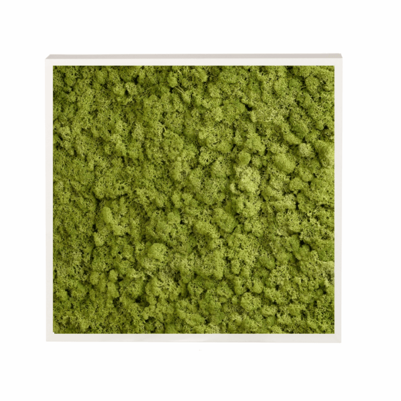 Panneau de mousse naturelle vert moyen et son cadre de montage