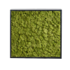 Panneau de mousse naturelle vert moyen et son cadre de montage – Image 2