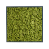 Panneau de mousse naturelle vert moyen et son cadre de montage – Image 3