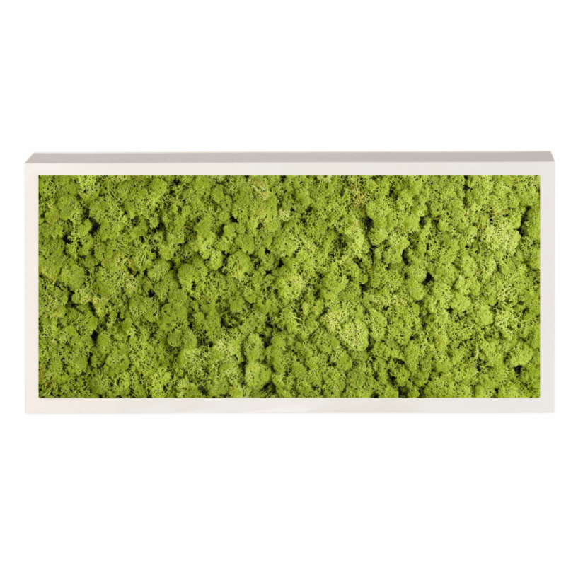 Panneau de mousse naturelle vert moyen et son cadre de montage