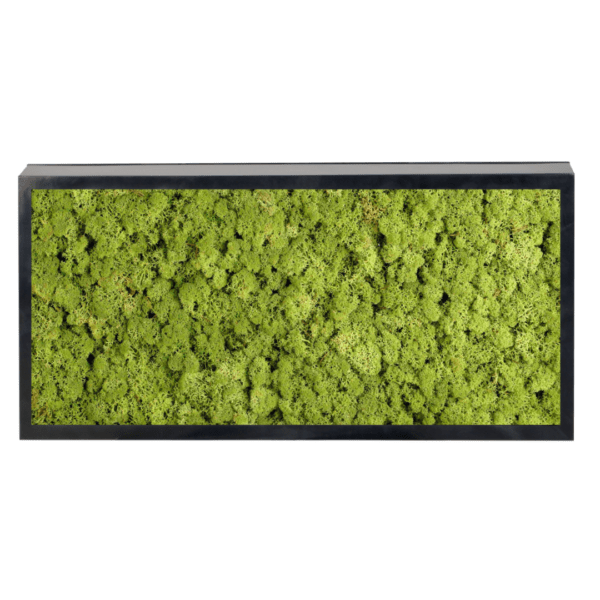 Panneau de mousse naturelle vert moyen et son cadre de montage – Image 2