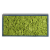 Panneau de mousse naturelle vert moyen et son cadre de montage – Image 3