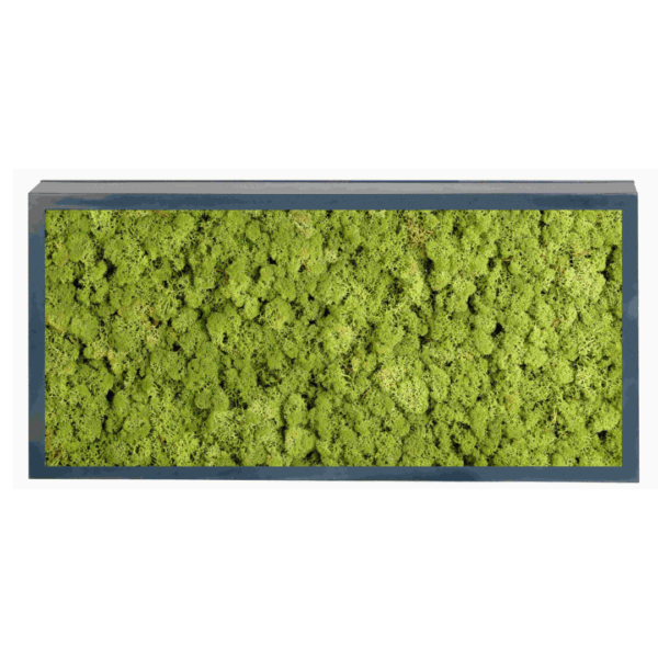 Panneau de mousse naturelle vert moyen et son cadre de montage – Image 3