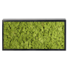 Panneau de mousse naturelle vert moyen et son cadre de montage – Image 2