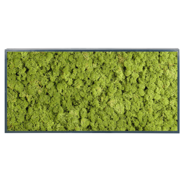 Panneau de mousse naturelle vert moyen et son cadre de montage – Image 3