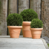 Pot Doppio Bordo Liscio - Terra – Image 2