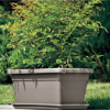 Bac Akea - Anthracite – Image 2