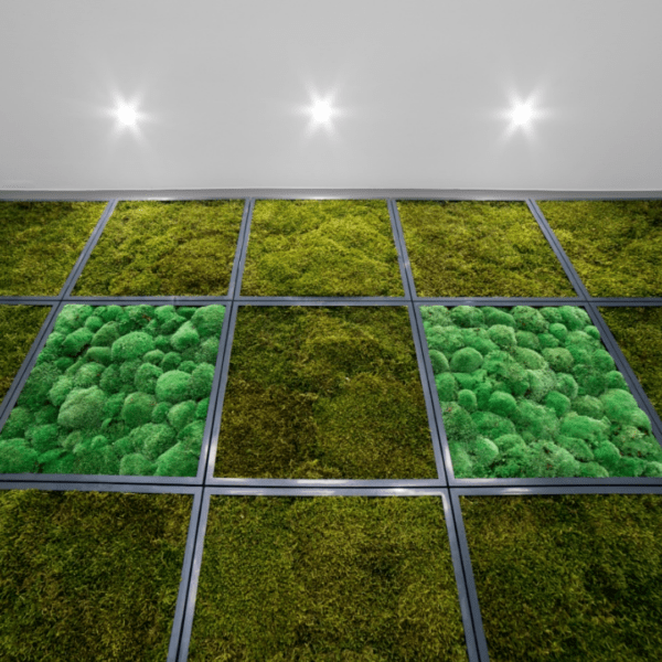 Panneau de mousse de forêt vert foncé et son cadre de montage – Image 5