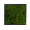 Panneau de mousse de forêt vert foncé et son cadre de montage – Image 2