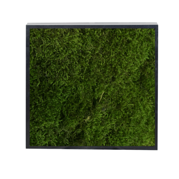 Panneau de mousse de forêt vert foncé et son cadre de montage – Image 2