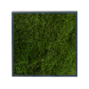 Panneau de mousse de forêt vert foncé et son cadre de montage – Image 3