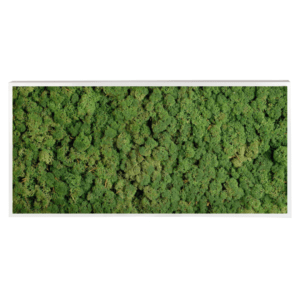 Panneau de mousse naturelle vert foncé et son cadre de montage