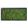 Panneau de mousse naturelle vert foncé et son cadre de montage – Image 2
