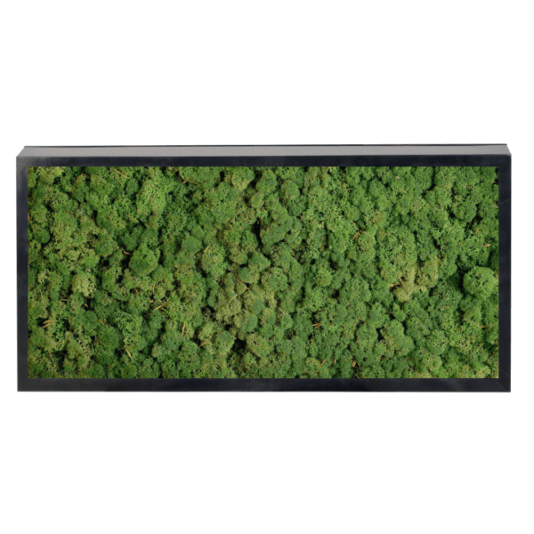 Panneau de mousse naturelle vert foncé et son cadre de montage – Image 2