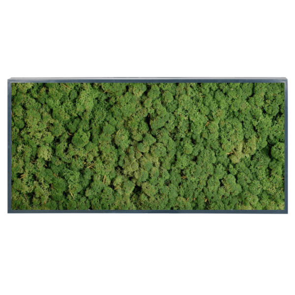 Panneau de mousse naturelle vert foncé et son cadre de montage – Image 3