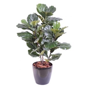 Ficus lyrata artificiel