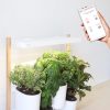 Potager d'intérieur Lilo Modulo connecté – Image 3