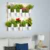 Potager d'intérieur Lilo Modulo connecté – Image 6