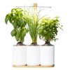 Potager d'intérieur Lilo Classic