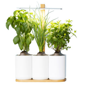 Potager d'intérieur Lilo Classic