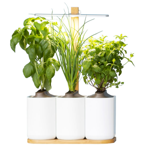 Potager d'intérieur Lilo Classic