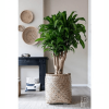 Cache-pot Zayn Bamboo – Image 2